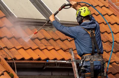 Démoussage et hydrofuge de toiture à Cabariot